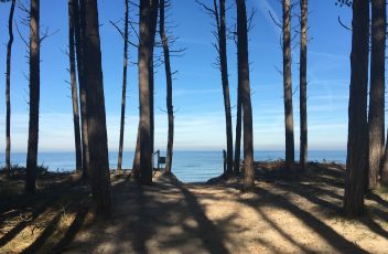 Uitzicht_bos_strand